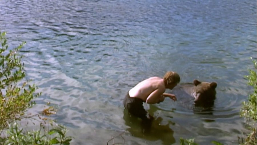 Shot from the movie Grizzly Man (2005)