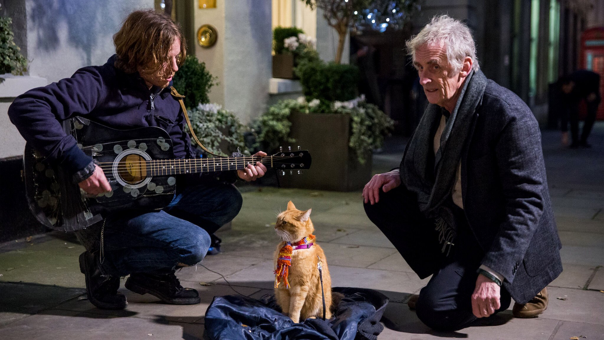 A Street Cat Named Bob (2016)