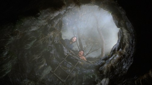 Empire of Passion (1978)