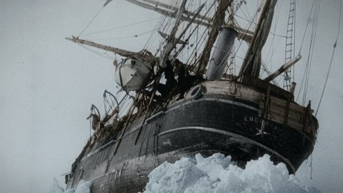 Endurance (2024)