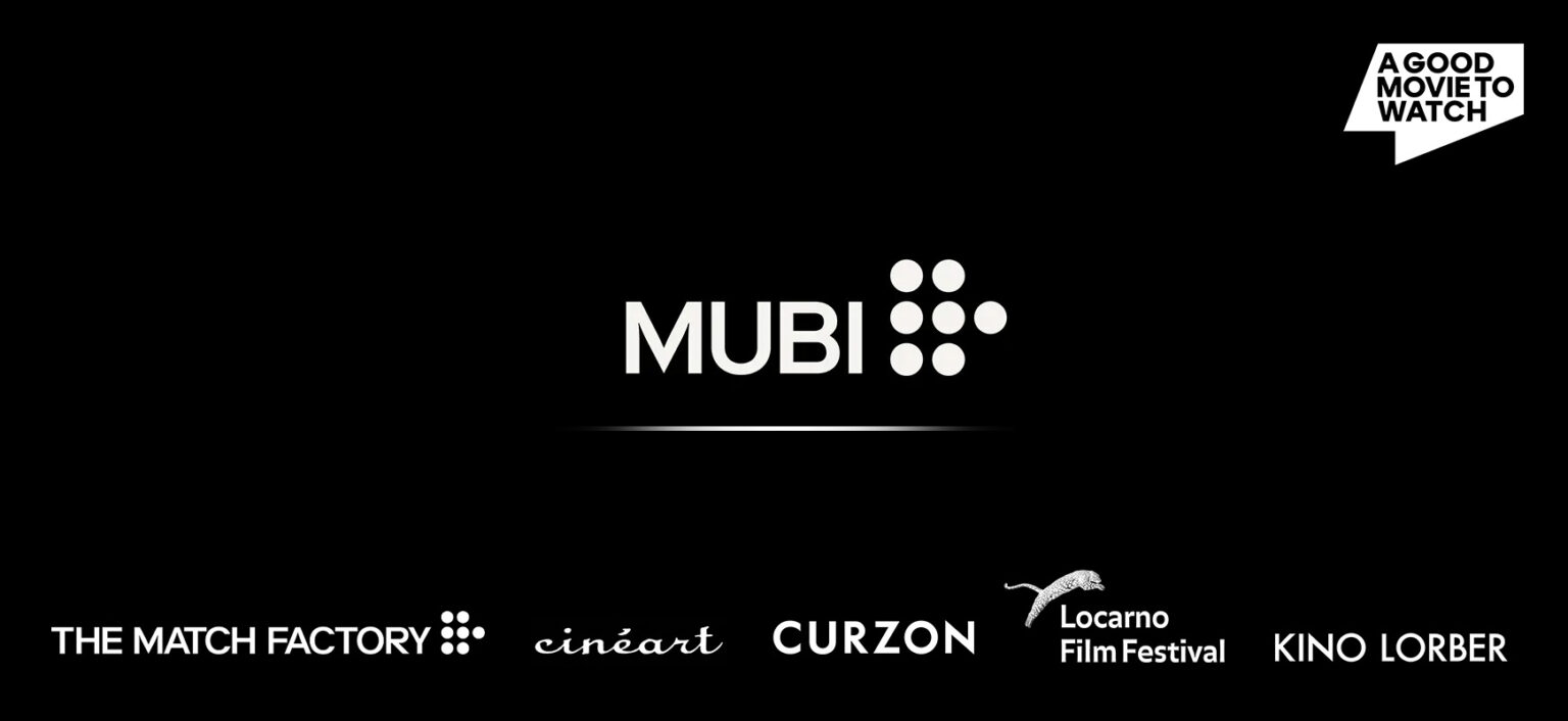 Mubi The Complete History of Mubi Price Hikes