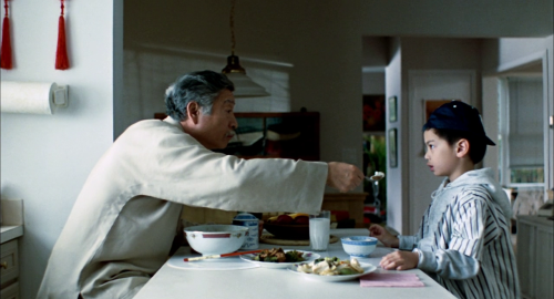 Pushing Hands (1991)