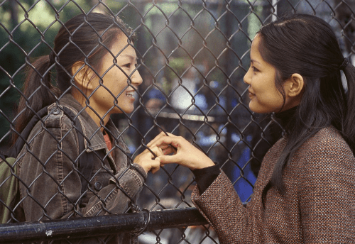 Saving Face (2004)