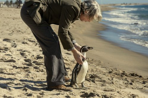 The Penguin Lessons