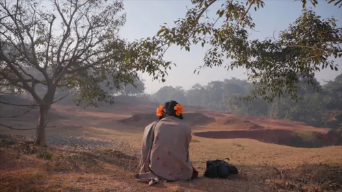To Kill a Tiger (2022)