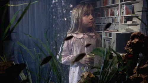 The Seventh Continent (1989)