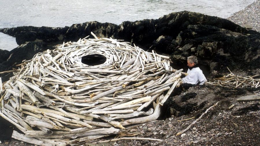 Rivers and Tides: Andy Goldsworthy Working with Time (2001)