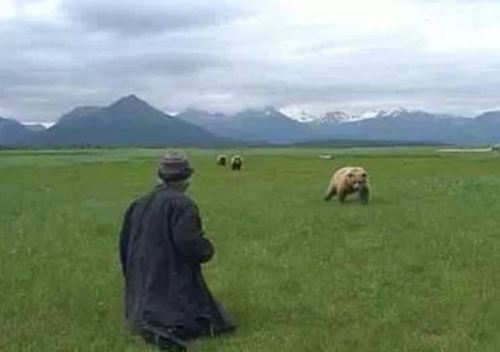 Grizzly Man (2005)