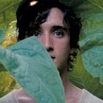 The 25 Best Weird Movies on Netflix