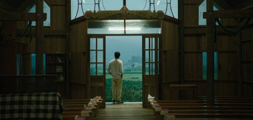 Inside the Yellow Cocoon Shell (2023)