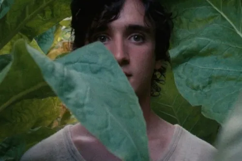Happy as Lazzaro (2018)