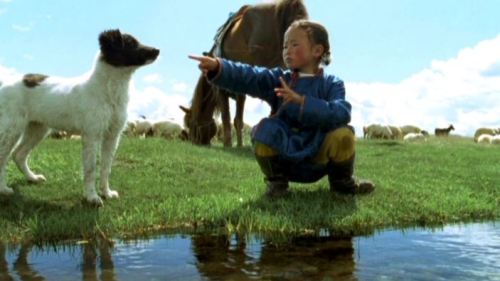 The Cave of the Yellow Dog (2005)