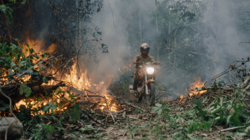The Territory (2022)