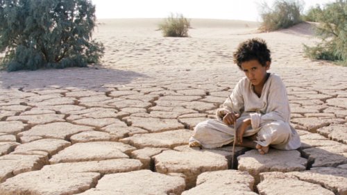 Theeb (2014)